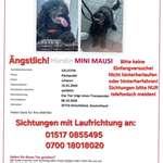 Suchmeldung-Mini Mausi-Bild