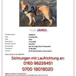 Suchmeldung-James-Bild