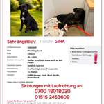 Suchmeldung-Gina-Bild