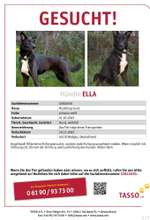 Suchmeldung-Ella-Bild
