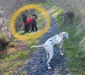 Suchmeldung-Luke-Bild