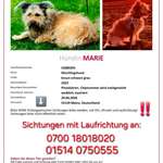 Suchmeldung-Marie-Bild