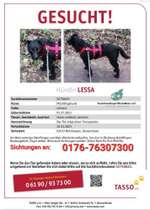 Suchmeldung-Lessa-Bild