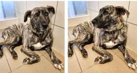 Suchmeldung-Banja-Bild