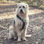 Suchmeldung-Kara-Bild