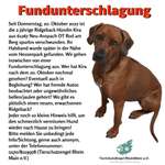 Suchmeldung-Kira-Bild