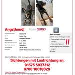 Suchmeldung-Gurki-Bild