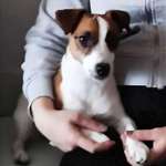 Suchmeldung-Mika-Bild