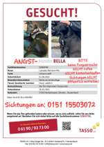 Suchmeldung-Bella-Bild