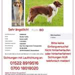 Suchmeldung-Bo-Bild