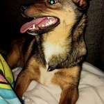 Suchmeldung-Lea-Bild