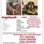 Suchmeldung-Nord-Bild