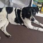 Suchmeldung-Blue-Bild