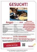 Suchmeldung-Lola-Bild