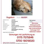 Suchmeldung-Buddy-Bild