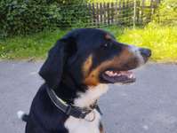 Suchmeldung-Manfred-Bild