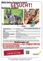 Suchmeldung-Odin-Bild