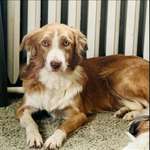 Suchmeldung-Motte-Bild