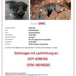 Suchmeldung-Emil-Bild