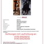 Suchmeldung-Kalle-Bild