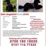 Suchmeldung-Louis-Bild