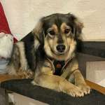 Suchmeldung-Nord-Bild