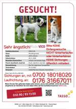 Suchmeldung-Vico-Bild