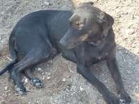 Suchmeldung-Beauty-Bild