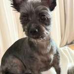 Suchmeldung-Elsa-Bild