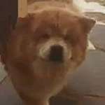 Suchmeldung-Bali-Bild