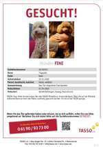 Suchmeldung-Fine-Bild
