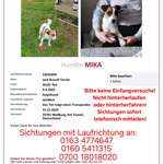 Suchmeldung-Mika-Bild