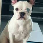 Suchmeldung-Jacky-Bild