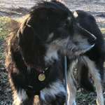 Suchmeldung-Gaia-Bild