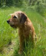 Suchmeldung-Cleo-Bild