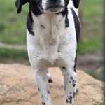 Suchmeldung-Blue-Bild