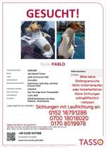 Suchmeldung-Pablo-Bild