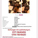 Suchmeldung-Rudi-Bild