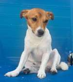 Suchmeldung-Pablo-Bild