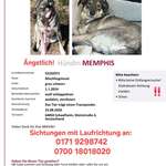 Suchmeldung-Memphis-Bild