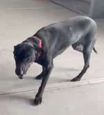 Suchmeldung-Beauty-Bild