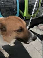 Suchmeldung-Mikel-Bild