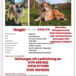 Suchmeldung-Hanuta-Bild
