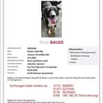 Suchmeldung-Baldo-Bild