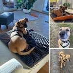 Suchmeldung-Sady-Bild