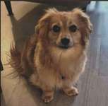 Suchmeldung-Matteo-Bild