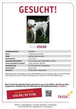 Suchmeldung-Oskar-Bild