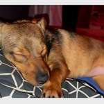 Suchmeldung-Lea-Bild