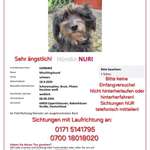 Suchmeldung-Nury-Bild