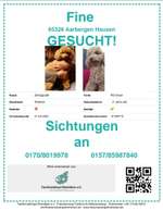 Suchmeldung-Fine-Bild